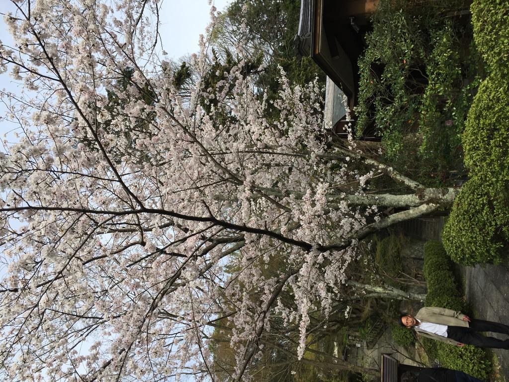 Uemura 2*