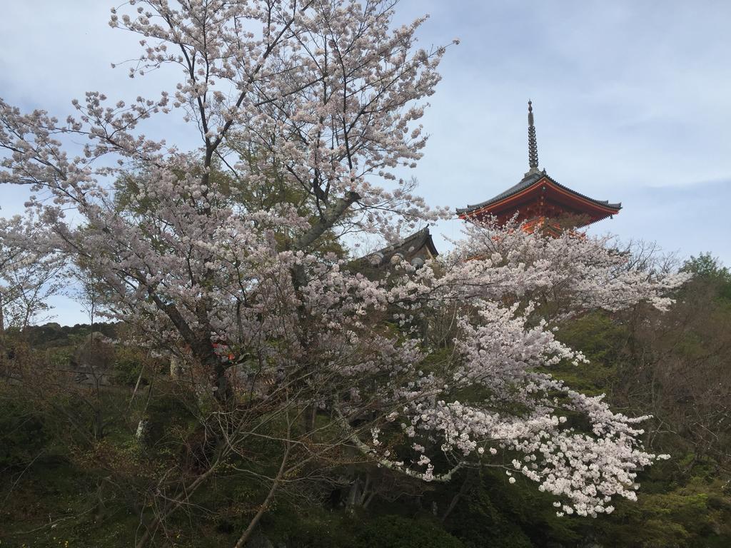 Ryokan Uemura Kyoto